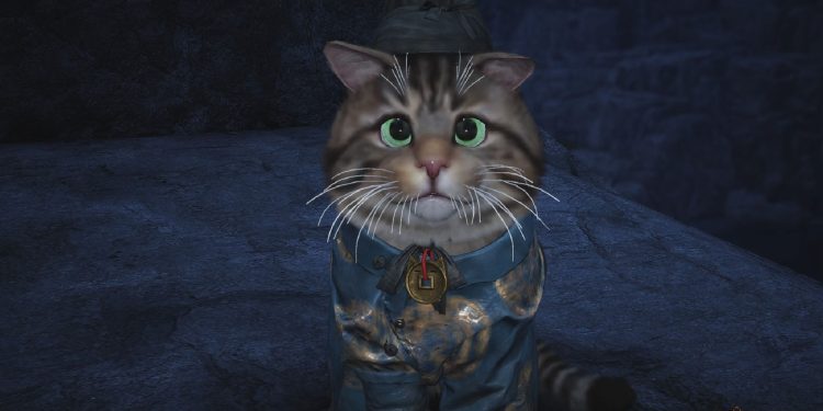 How to Crack All Kaifeng Meow Puzzles in Where Winds Meet