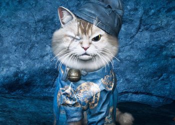 How To Solve All Qinghe Meow Puzzles In Where Winds Meet