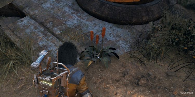 How To Find The Potentially Poisonous Plant In Arc Raiders