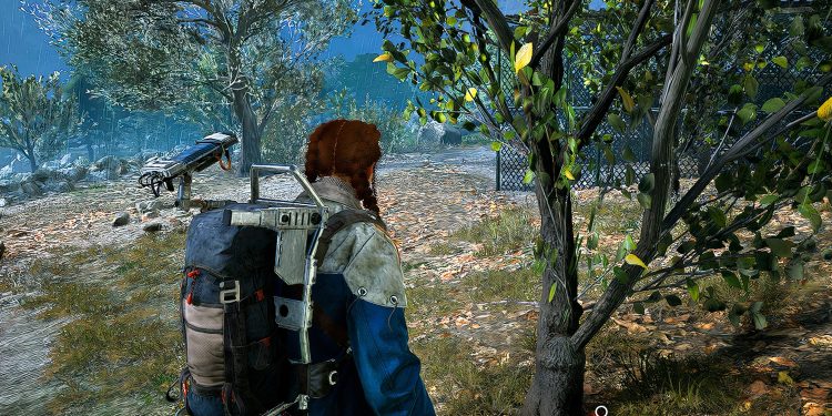 Where To Find The Beehive In The Olive Grove In Arc Raiders